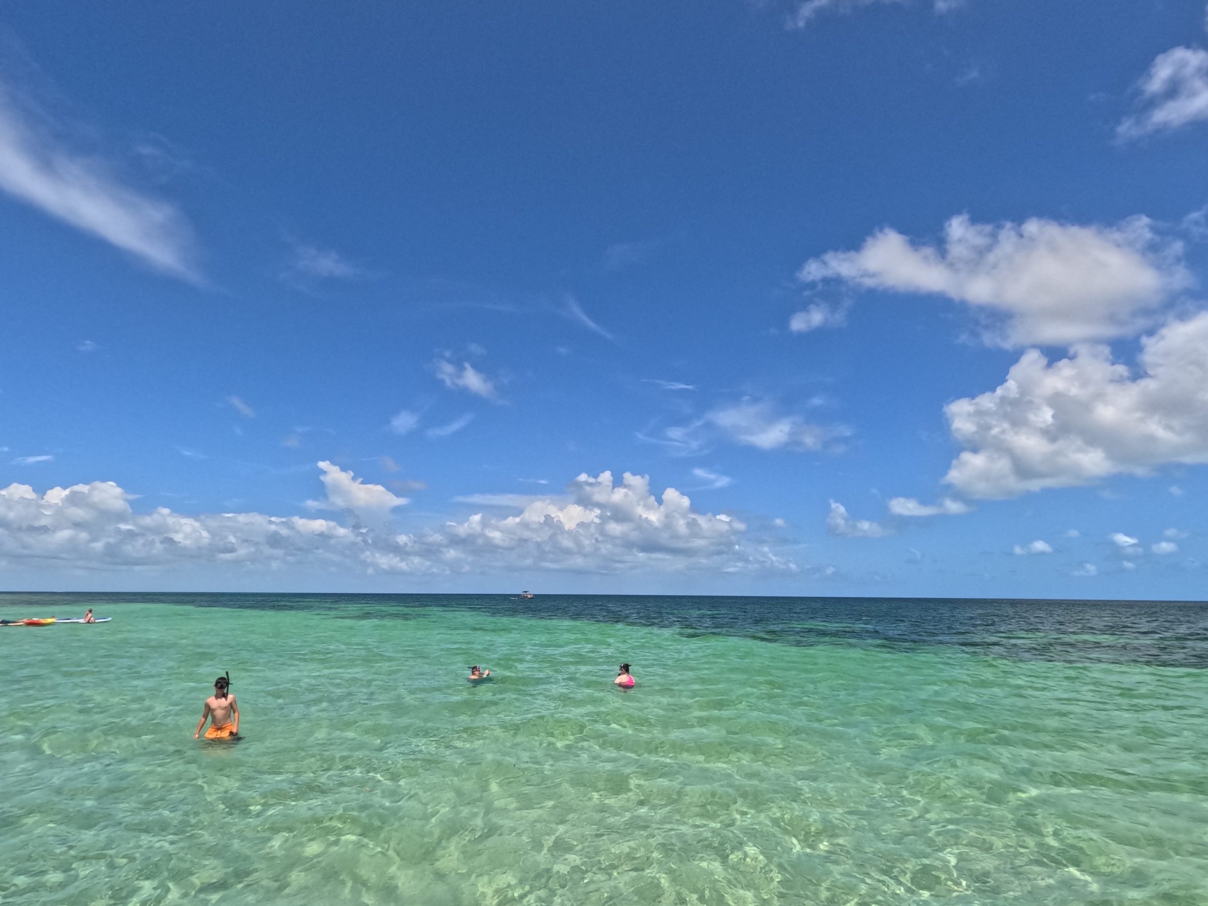 a group of people swimming in the ocean